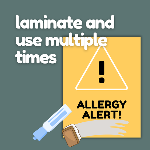 Allergy Alert Classroom Poster (Printable) | Reusable Church & Sunday School Safety Sign